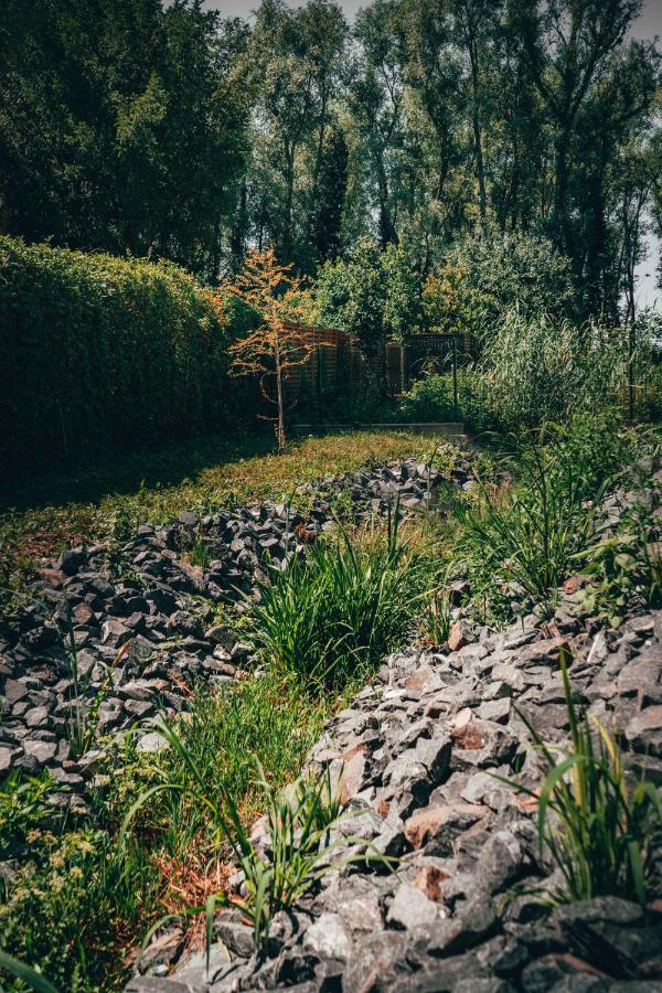 Fűz Liget Üdülőpark Balatonfůzfő Exterior foto